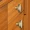 32mm 2 Piece Brass Knobs BK-001 | Brass Antique Knobs | Brass Cabnite Knobs| Brass Drawer Knobs |